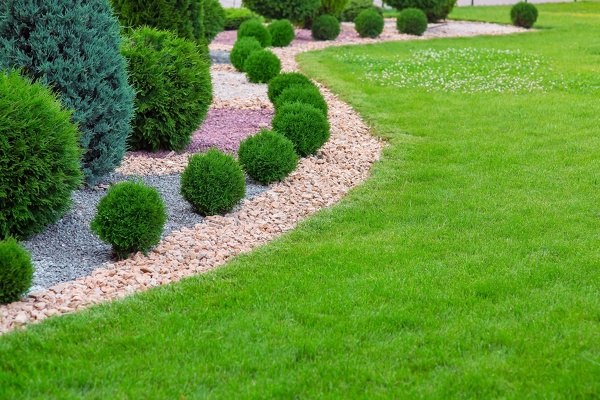 Lawn Care Service